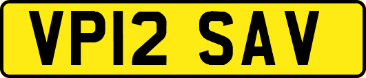 VP12SAV