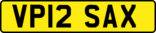 VP12SAX