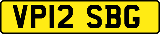 VP12SBG