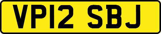 VP12SBJ