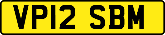 VP12SBM