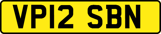 VP12SBN