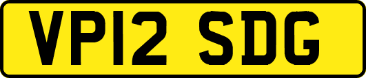 VP12SDG