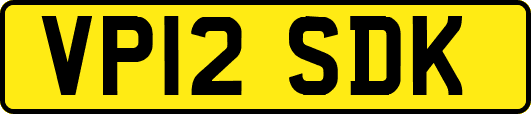VP12SDK