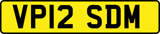 VP12SDM