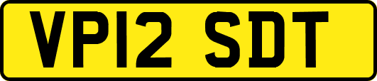 VP12SDT