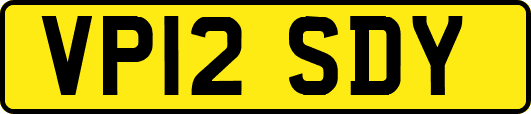 VP12SDY