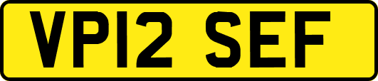 VP12SEF