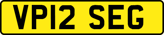 VP12SEG