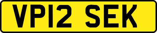 VP12SEK