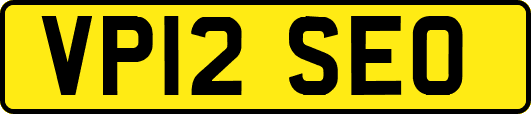 VP12SEO