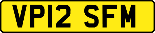 VP12SFM