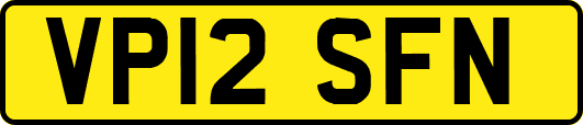 VP12SFN