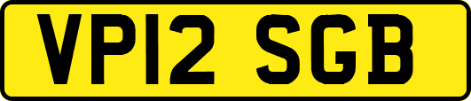 VP12SGB