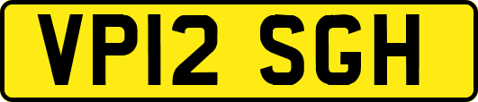 VP12SGH