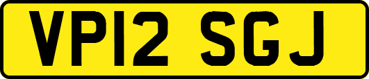 VP12SGJ