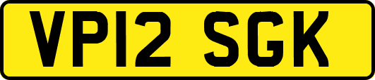 VP12SGK