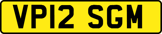 VP12SGM
