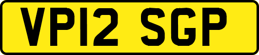 VP12SGP