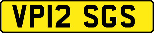 VP12SGS