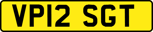 VP12SGT