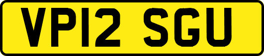 VP12SGU