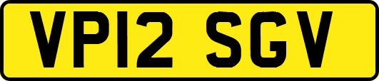 VP12SGV