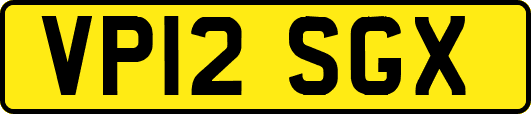 VP12SGX