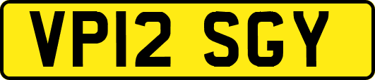 VP12SGY