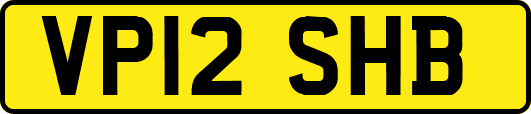 VP12SHB