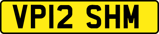 VP12SHM