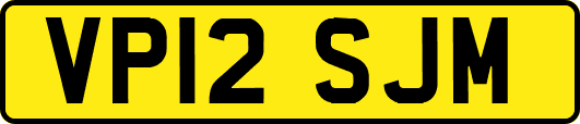 VP12SJM