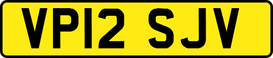 VP12SJV
