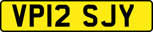 VP12SJY