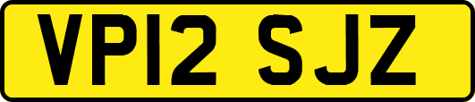 VP12SJZ