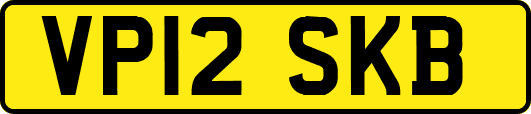 VP12SKB