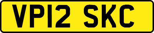 VP12SKC