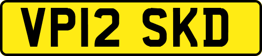 VP12SKD