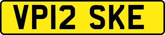 VP12SKE