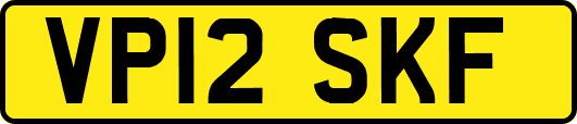VP12SKF