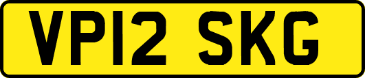 VP12SKG