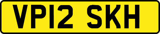 VP12SKH