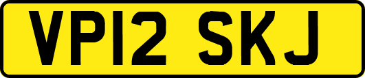 VP12SKJ