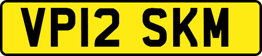 VP12SKM