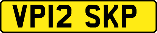VP12SKP
