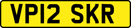 VP12SKR
