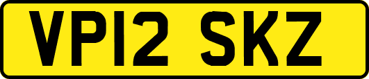 VP12SKZ
