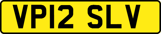 VP12SLV