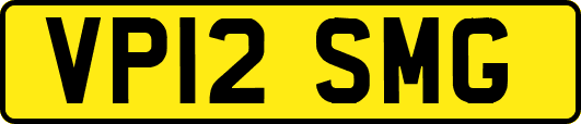 VP12SMG
