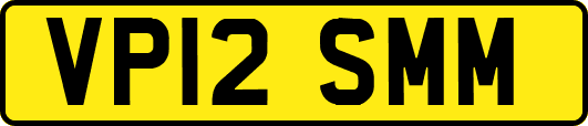 VP12SMM